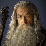 Wig And Beard Potter Albus Dumbledore Cosplay - Heesse