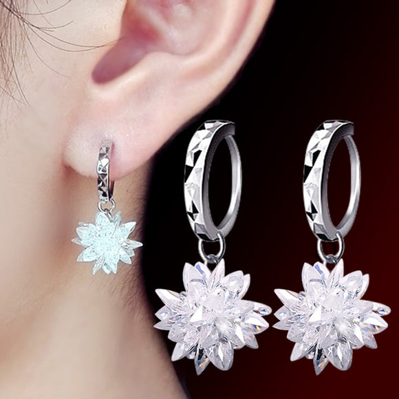 925 Sterling Silver Drop Earrings - Heesse