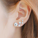 Earrings Jewelry for Women - Heesse